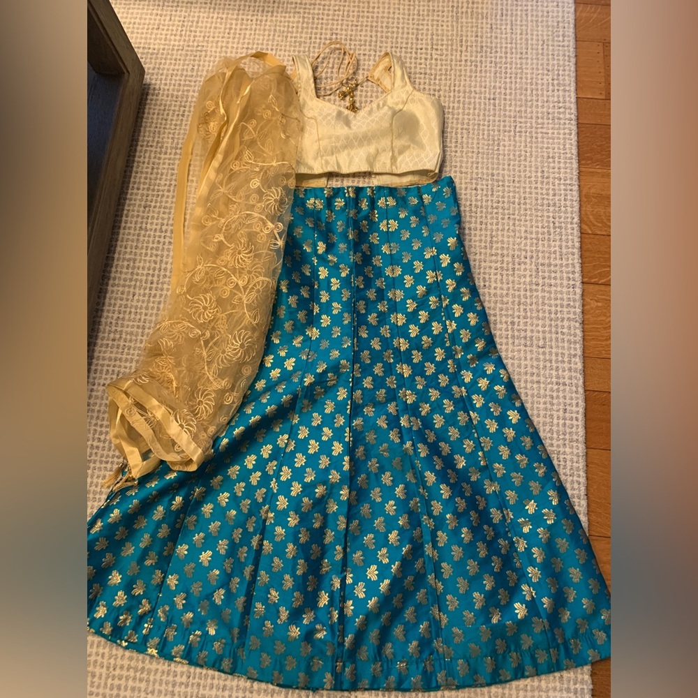 Green and Gold Indian Lehenga / Saree - Type Set